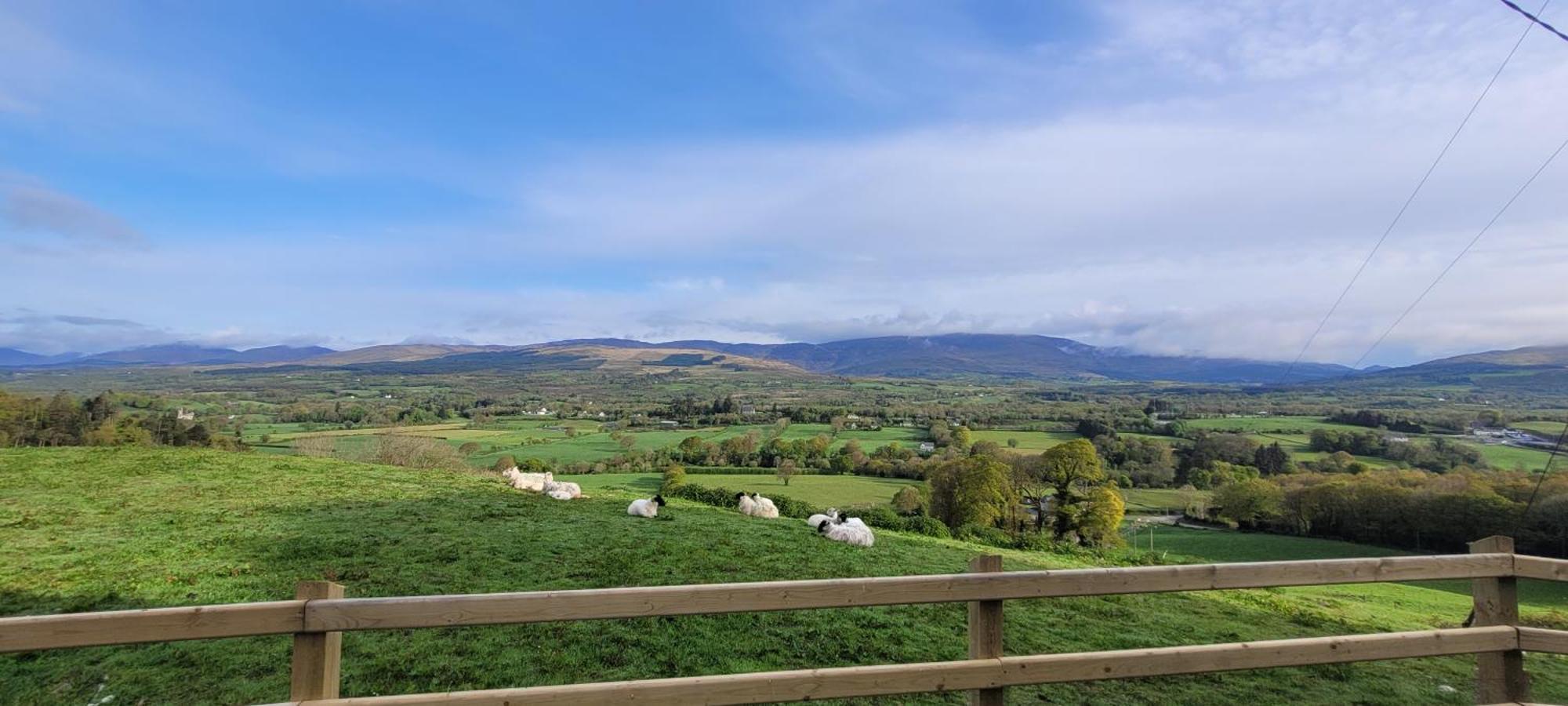 Country Suite - Spectacular Views Kilgarvan Exteriör bild